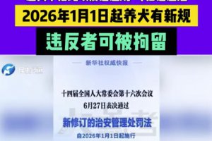 明年起遛狗不拴绳违