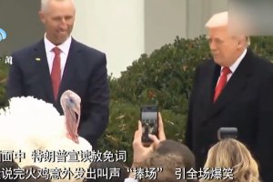 特朗普在白宫赦免火鸡 引全场爆笑