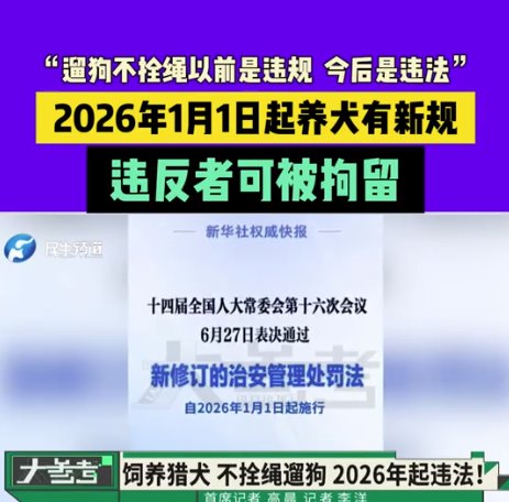 明年起遛狗不拴绳违法