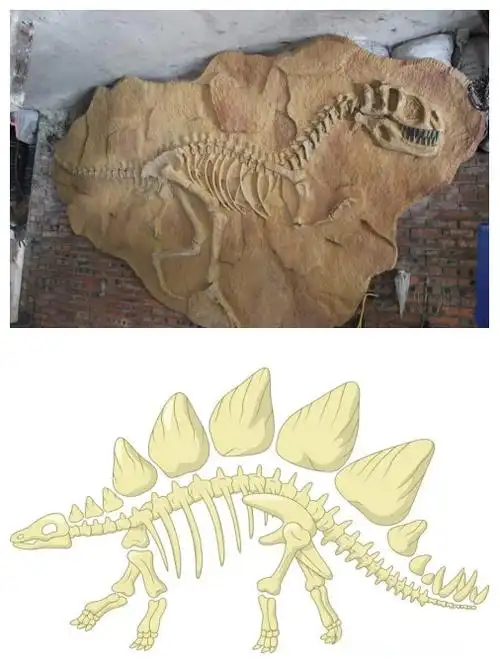 村民用了多年的垫脚石竟是恐龙化石