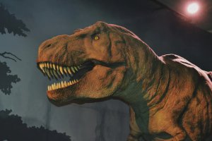 史上最大的陆地掠食者霸王龙才长到完全体型需要