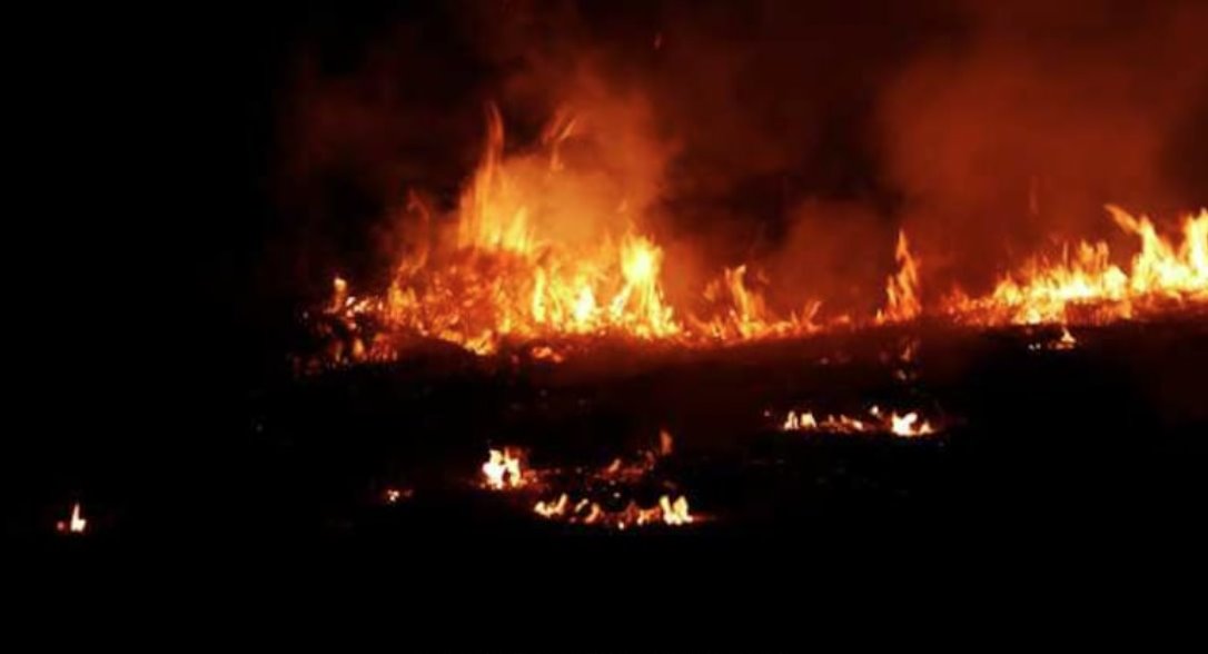 巴基斯坦一购物中心发生火灾，造成6人死亡，38人失踪。